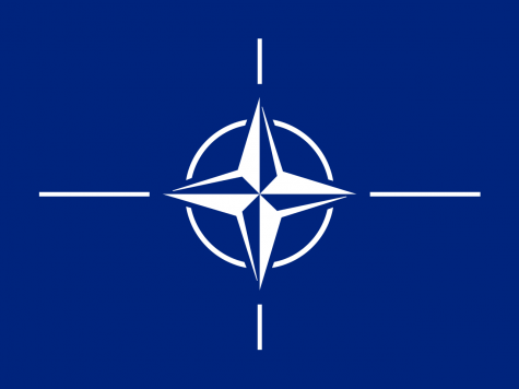 NATO Decides not to Send Ground Troops to Fight ISIS