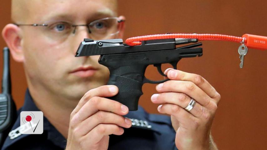 George Zimmerman Auctioning Weapon Used to Murder Trayvon Martin