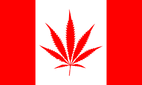 The Devils Lettuce Now Legalized in Canada