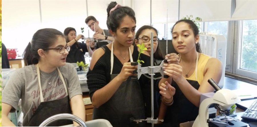 Students in Dr. Definas AP Biology class participate in lab. (Photo taken from https://www.wayneschools.com/Page/3752)