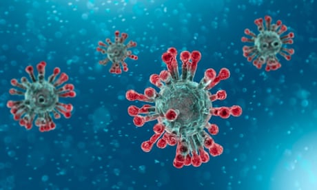 Coronavirus Pandemic: Deciphering Fact from Fiction