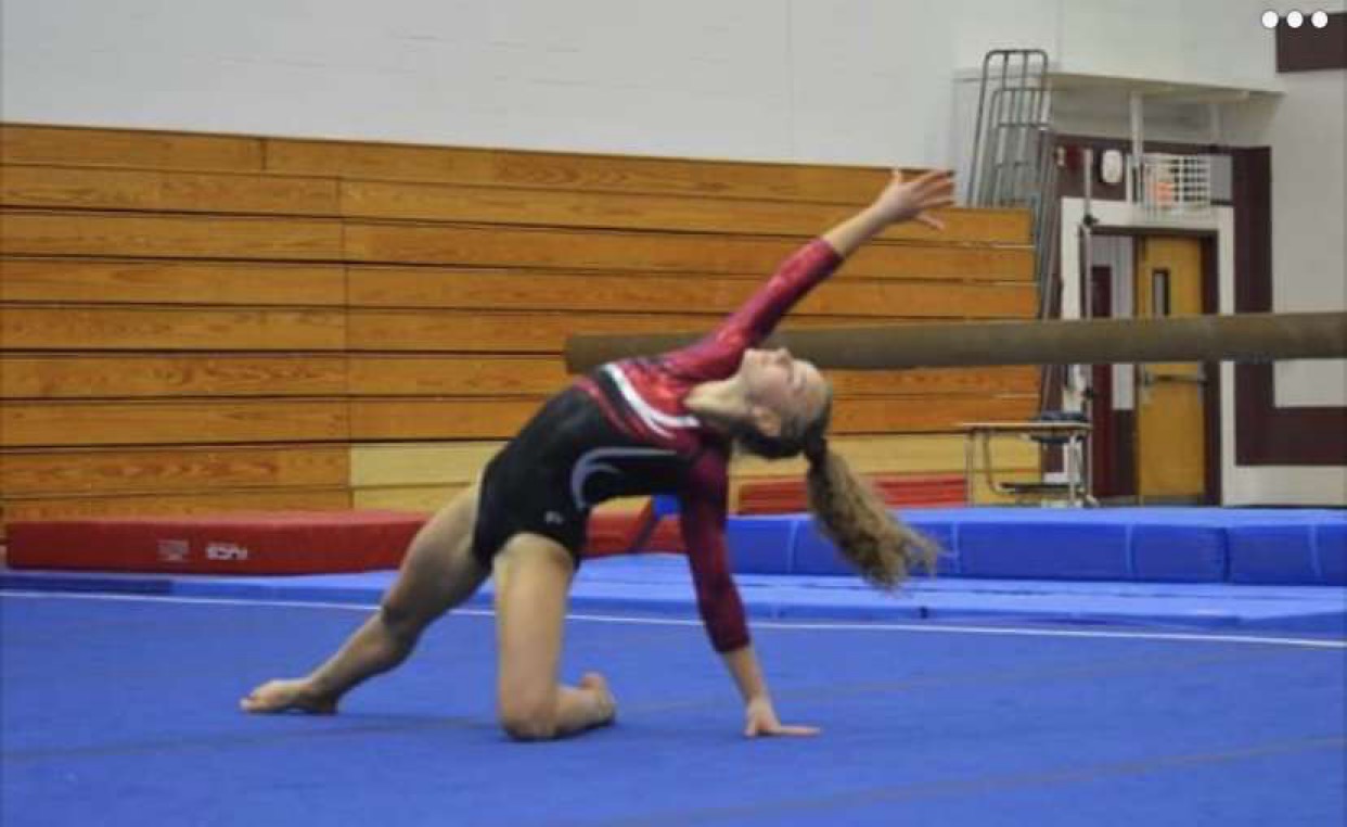 Gymnast Jackie Bernardo Qualifies for States – The Patriot Press