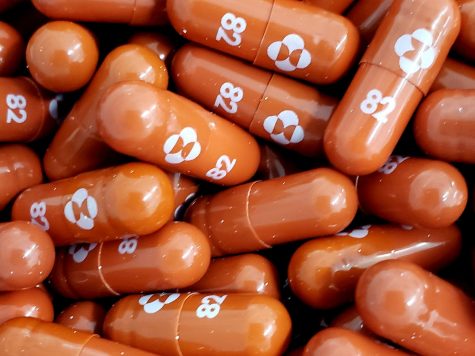 The COVID-19 pill produced by Merck and Ridgeback Biotherapeutics, called molnupiravir.