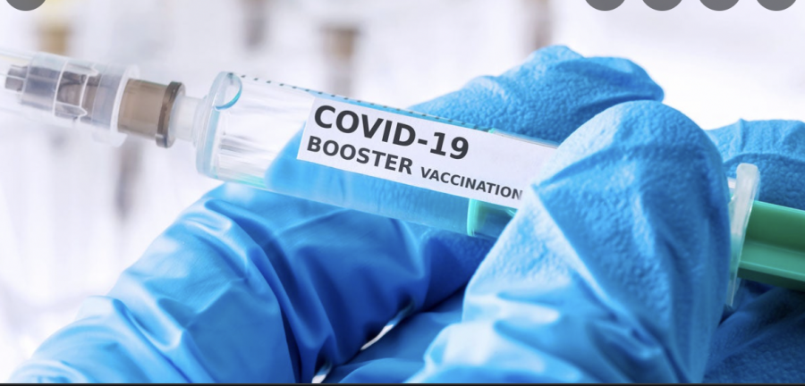 COVID-19+Vaccine+Update%3A+Booster+Shots+and+Approval+for+Children