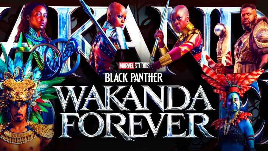 Marvel+Fans+Skeptical+Over+New+Black+Panther+Movie
