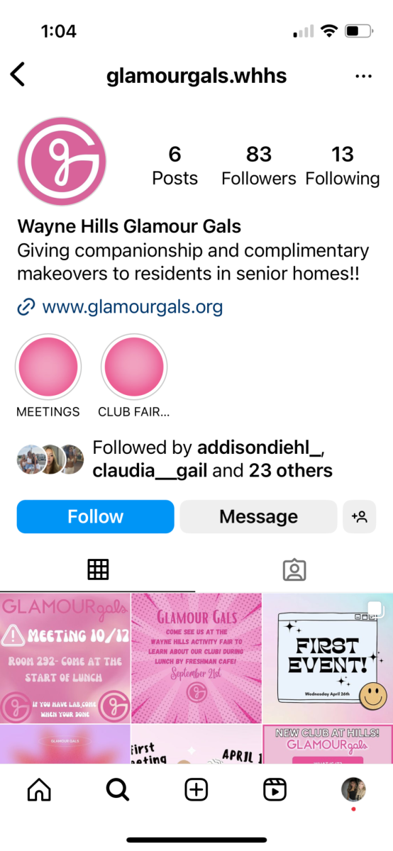 Screenshot of Glamour Gals instagram 