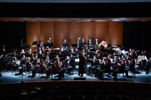 The Wayne Hills Band!